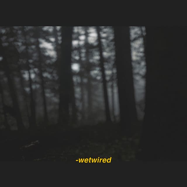 wetwired album art