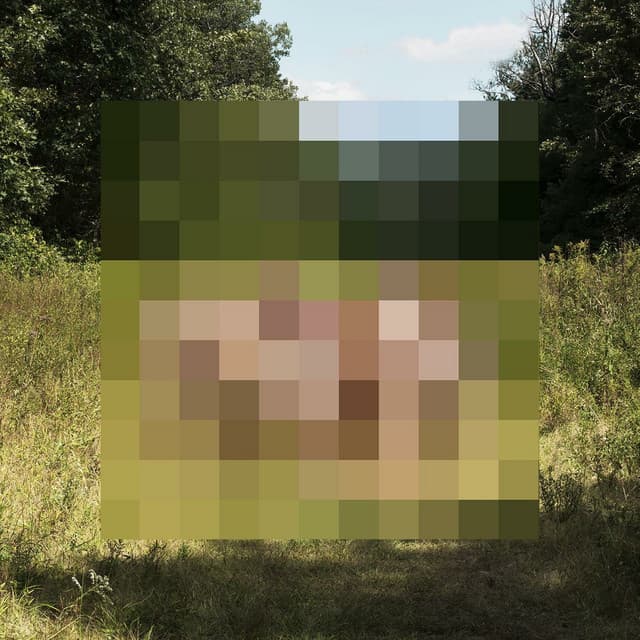 The Hotelier album art