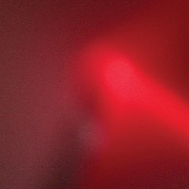 Meat Wave album art