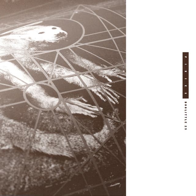 Pixies album art