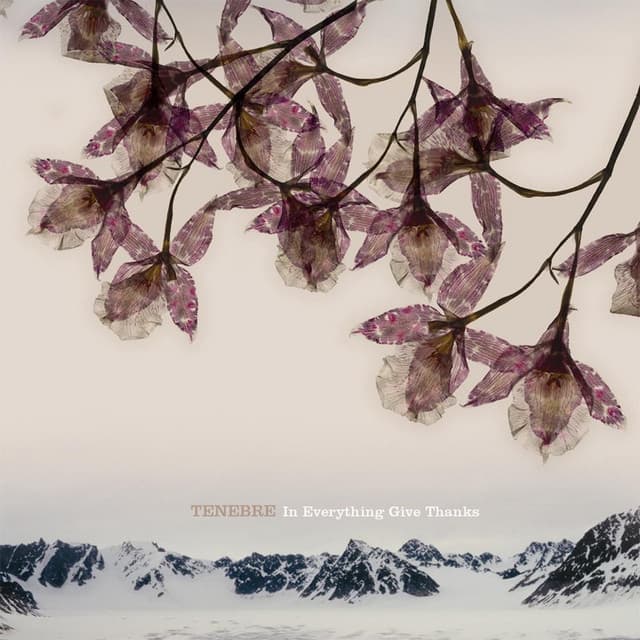 Tenebre album art