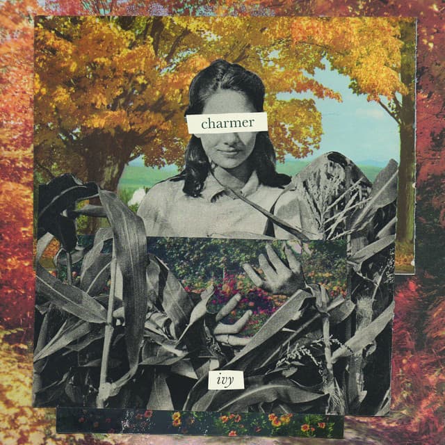 Charmer album art