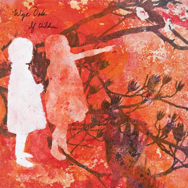 Wye Oak album art