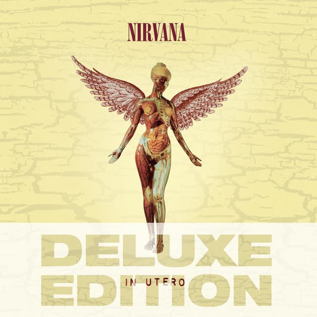 Nirvana album art
