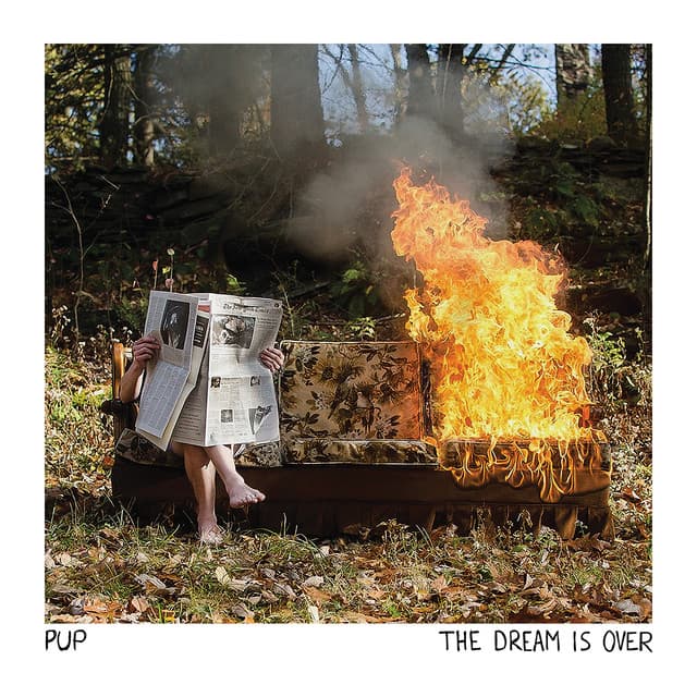PUP album art