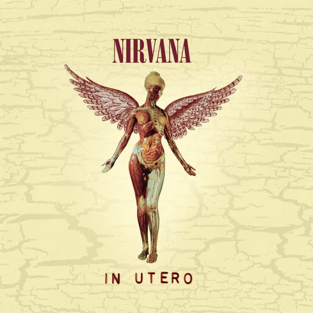 Nirvana album art