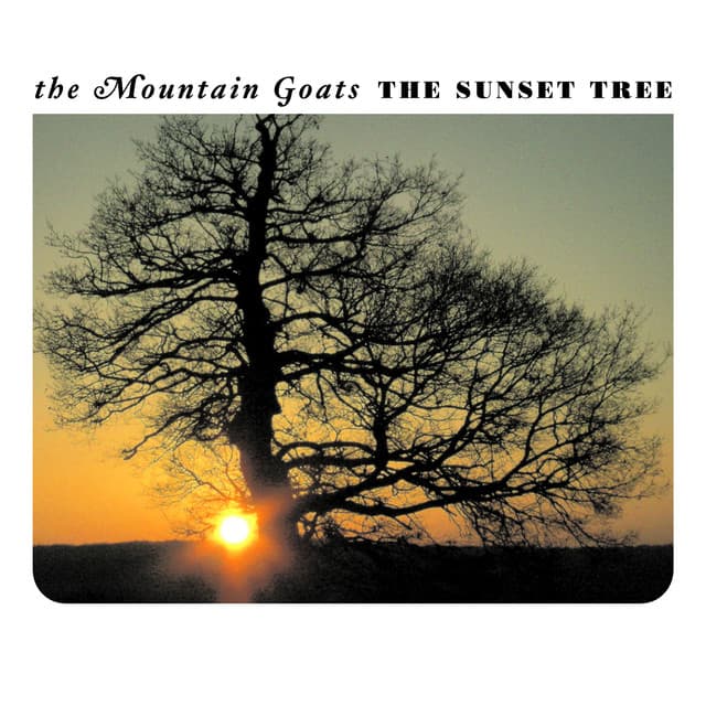 The Mountain Goats album art