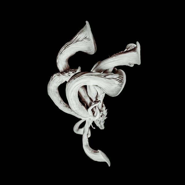 Pixies album art