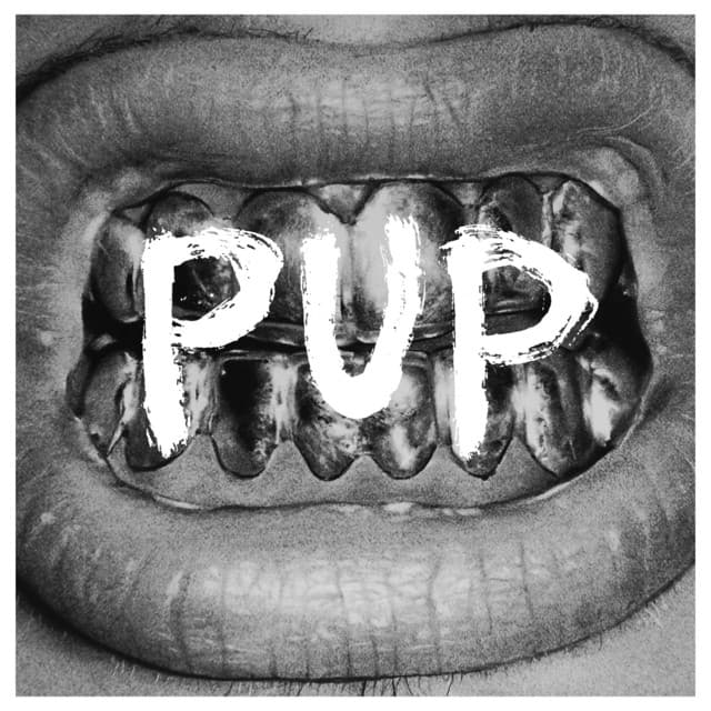 PUP album art