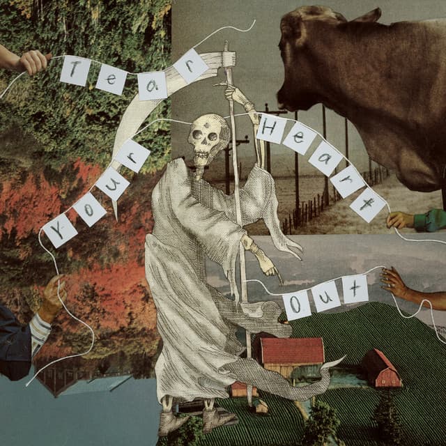villagerrr album art